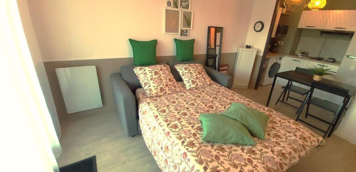 Le Sporting Land - Avec Entree Autonome, Parking Prive & Sa Piscine ! - Apartment Gaillac Exterior foto