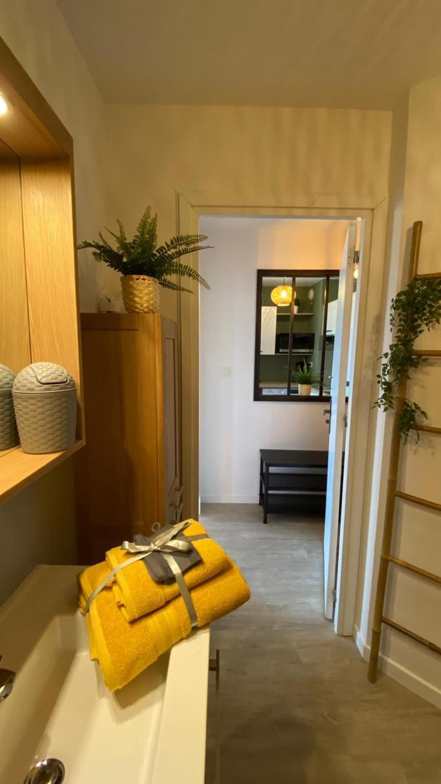 Le Sporting Land - Avec Entree Autonome, Parking Prive & Sa Piscine ! - Apartment Gaillac Exterior foto